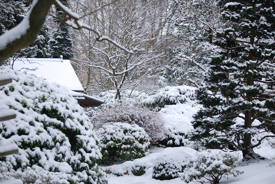 Jak udržovat zahradu v zimě? Tyto mýty neplatí!
