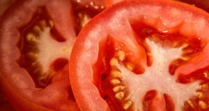 Pěstování rajčat – jde to i na balkoně?