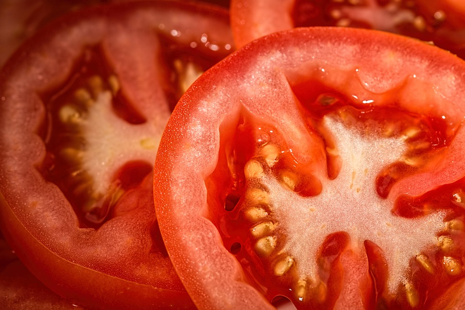 Pěstování rajčat – jde to i na balkoně?